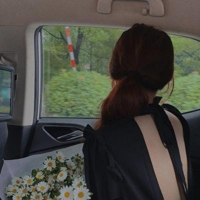 赛迦奥特曼封面